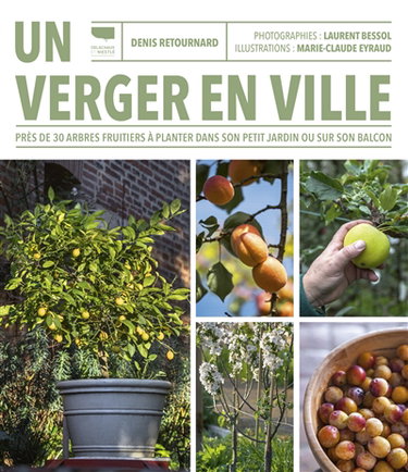 Couverture de Un verger en ville : près de 30 arbres fruitiers à planter dans son petit jardin ou sur son balcon