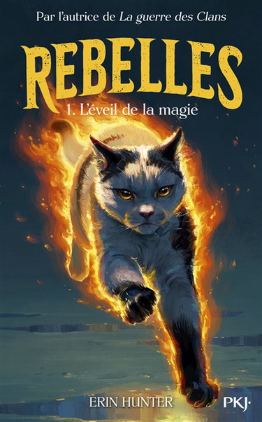 Couverture de Rebelles. Vol. 1. L'éveil de la magie