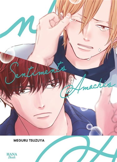 Couverture de Sentiments amochés