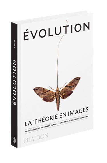 Couverture de Evolution : la théorie en images