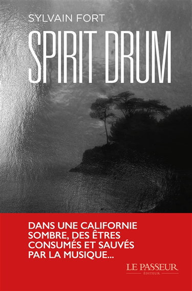 Couverture de Spirit drum