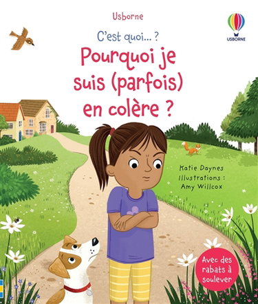Couverture de Pourquoi je suis (parfois) en colère ?