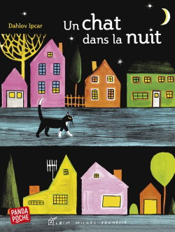 Couverture de Un chat dans la nuit