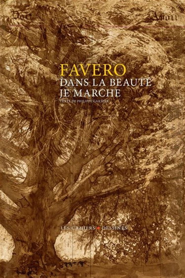 Couverture de Dans la beauté je marche