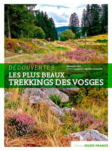 Couverture de Les plus beaux trekkings des Vosges