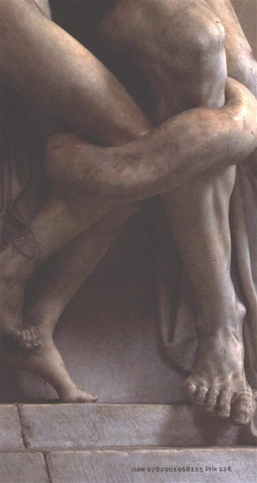 Couverture de Sur Laocoon