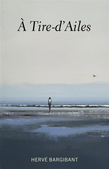 Couverture de A tire-d'ailes