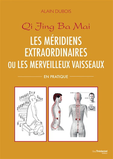 Couverture de Qi jing ba mai : les méridiens extraordinaires ou Les merveilleux vaisseaux : en pratique