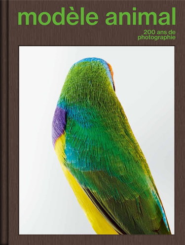 Couverture de Modèle animal, 200 ans de photographie