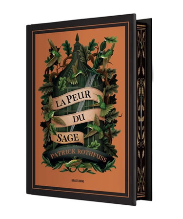 Couverture de Chronique du tueur de roi : deuxième journée. La peur du sage