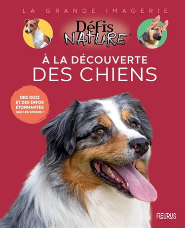 Couverture de A la découverte des chiens : des quiz et des infos étonnantes sur les chiens !