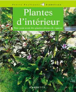 Plantes d'intérieur