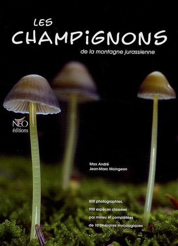 Les champignons de la montagne jurassienne