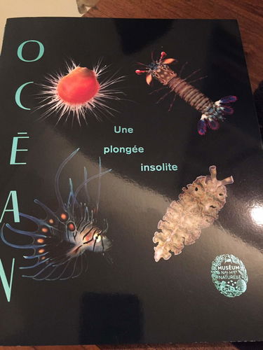 Océan, Une plongée insolite