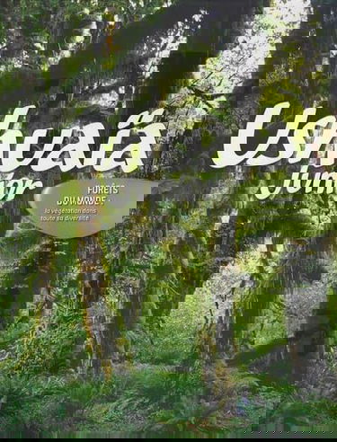 Les forêts du monde : la végétation dans toute sa diversité