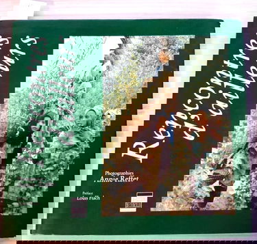 Rencontres d'ailleurs