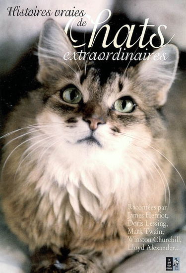 Histoires vraies de chats extraordinaires