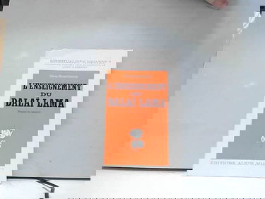 L'enseignement du dalai-lama (Serie Bouddhisme) (French Edition)