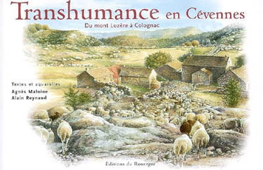 Transhumance en Cévennes, du mont Lozère à Colognac