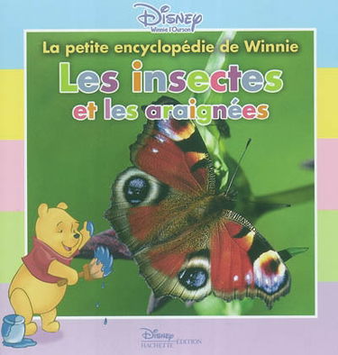 Les insectes et araignées