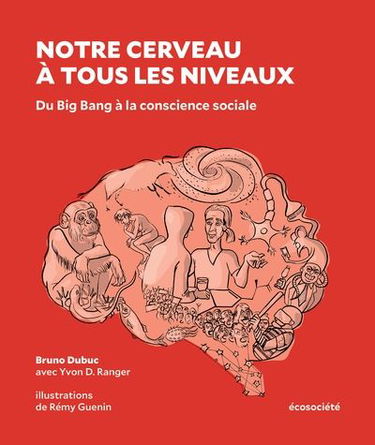 Notre cerveau à tous les niveaux : Du Big Bang à la conscience sociale
