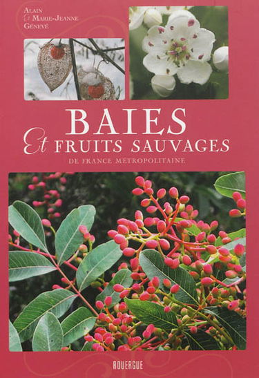 Baies et fruits sauvages de France métropolitaine