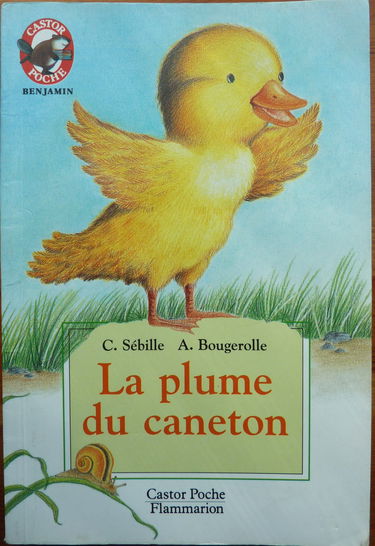 La plume du caneton