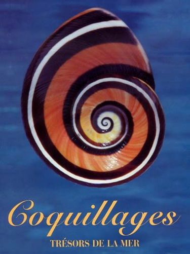 Coquillages : trésors de la mer
