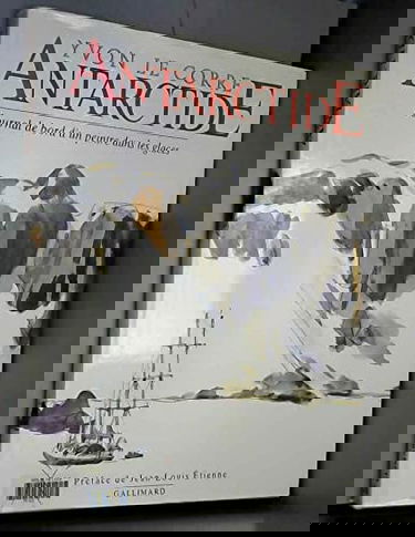 Antarctide : journal de bord d'un peintre dans les glaces