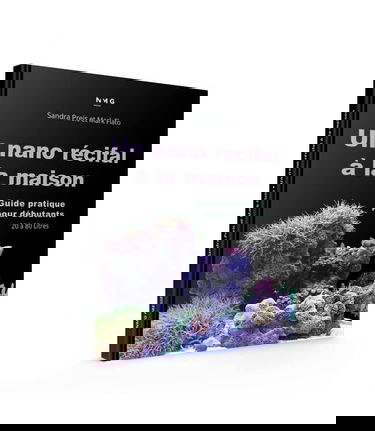 Un nano récifal à la maison