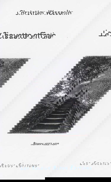 La chouette effraie : roman assez noir