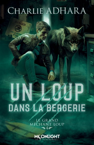 Un loup dans la bergerie : Le grand méchant loup 4