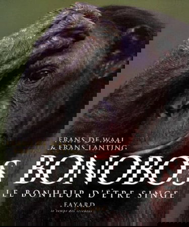 Bonobos, le bonheur d'être singe