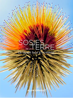 Sosies de la Terre : le vivant face à lui-même. Double vision : mirror images in nature