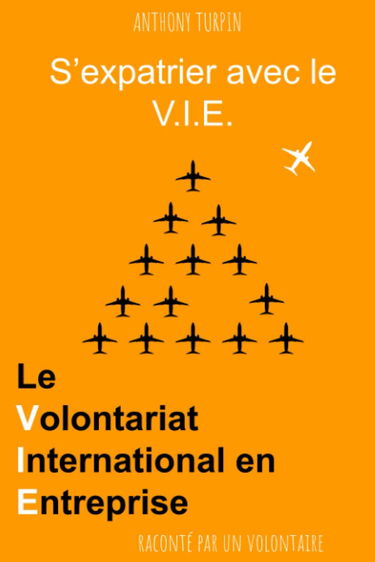 S'expatrier avec le V.I.E.: Le Volontariat International en Entreprise raconté par un volontaire