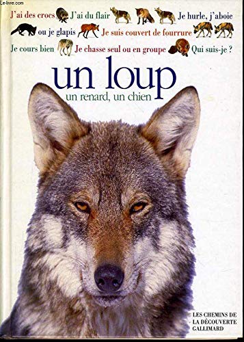 Qui suis-je ? Un loup, un chien, un renard