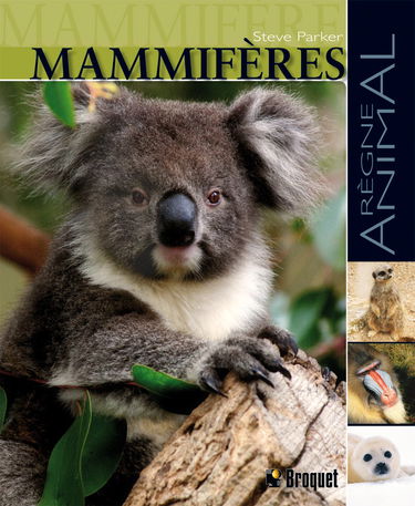 Mammifères