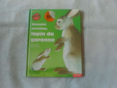 Lapin de garenne