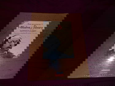Plans et scénarios de Madame Bovary
