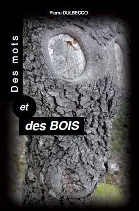 Des mots et des bois