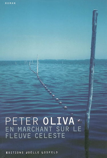 Couverture de En marchant sur le fleuve céleste