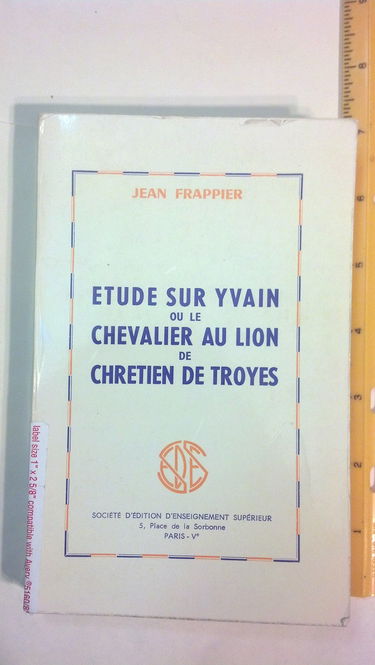 Etude sur Yvain ou le Chevalier au lion de Chrétien de Troyes