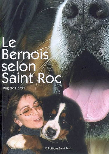 Le bernois selon Saint Roc