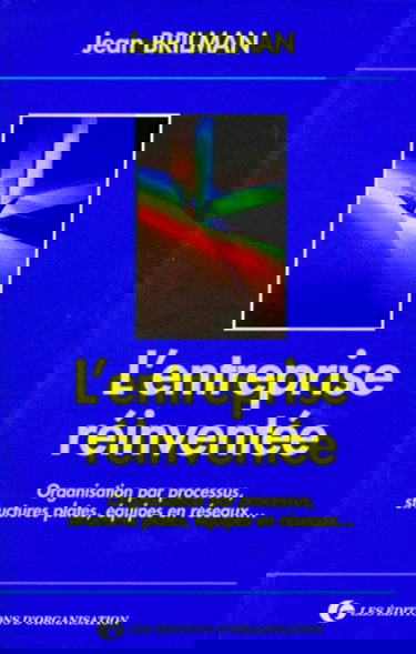 L'entreprise réinventée: Organisation par processus, structures plates, équipes en réseaux...