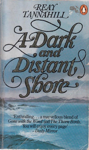 Couverture de A Dark and Distant Shore