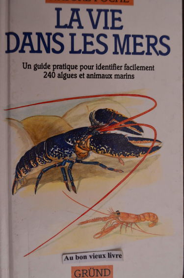 La vie dans les mers