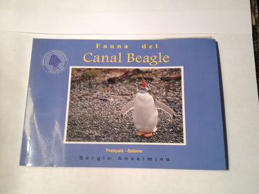 FAUNA DEL CANAL BEAGLE