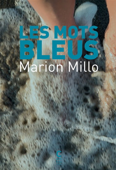 Les mots bleus