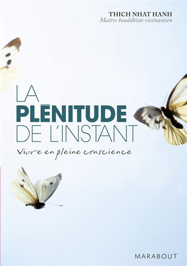 La plénitude de l'instant : vivre en pleine conscience