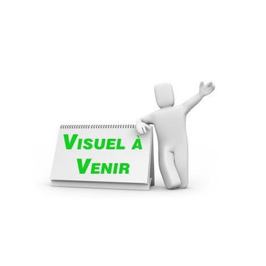 Les enfants du diable